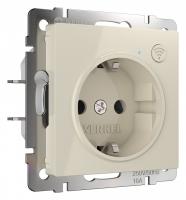 Розетка с заземлением и со шторками без рамки с Wi-Fi Werkel слоновая кость W1171603