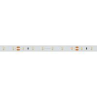Лента светодиодная Arlight  024562(2)