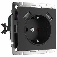 Розетка с заземлением и со шторками и 2хUSB без рамки Werkel черный матовый W1171508