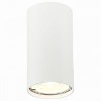 Накладной светильник ST-Luce Simplus ST110.507.01
