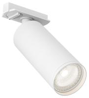 Светильник на штанге Denkirs DK620 DK6202-WH