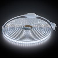 Лента светодиодная OGM  SL-67