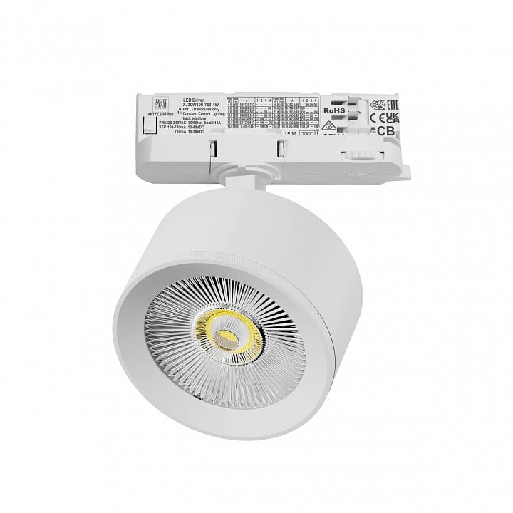 Светильник на штанге Lightstar Alta Pro A5546QT