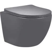 Унитаз подвесной GID Tr2122TF-Dgm безободковый, торнадо, с сиденьем микролифт, темно-серый матовый