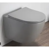 Унитаз подвесной CeramaLux TR2197MH безободковый, торнадо, с сиденьем микролифт, светло-серый матовый