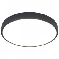 Накладной светильник Arte Lamp Arena A2661PL-1BK