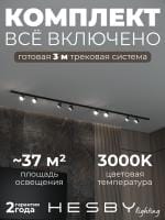 Комплект трековый Hesby Lighting Skylite №13 HSBL_kompl_S013_NI3B3K