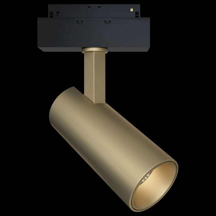Светильник на штанге Maytoni Technical Фокус TR019-2-15W3K-MG