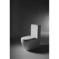 Унитаз-компакт Bravat Gina C02005W-3-ENG с сиденьем микролифт, белый