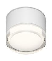 Накладной светильник Denkirs AQUA DK-DH2610-WH