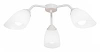 Потолочная люстра Vitaluce V31950 V31950/3PL