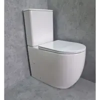 Унитаз-компакт CeramaLux TR2176 безободковый, торнадо, с сиденьем микролифт, белый