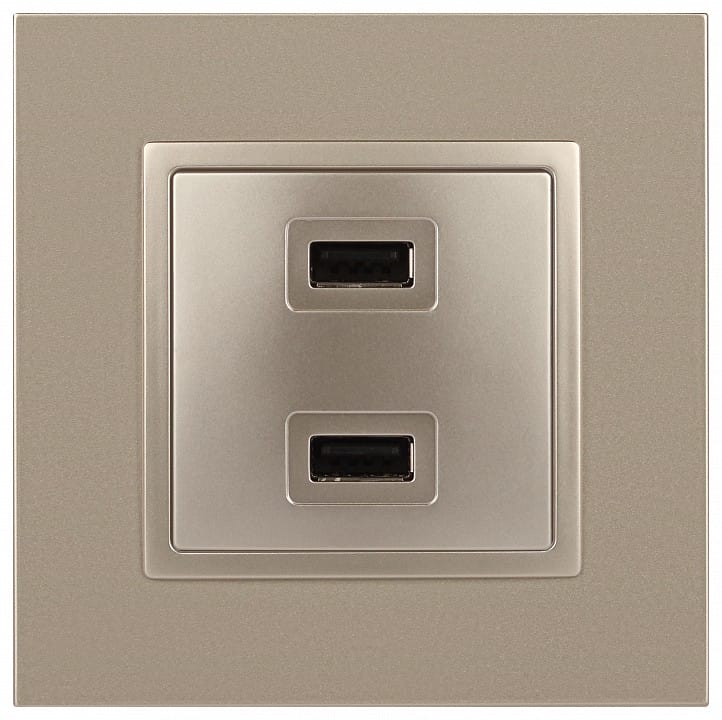 Розетка 2хUSB type A без рамки Эра Эра Elegance 14-4110-04