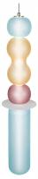 Подвесной светильник Loft it Lollipop 10239P/F