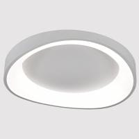 Накладной светильник Arte Lamp None A2698PL-60WH
