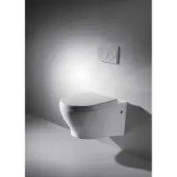 Унитаз подвесной Bravat Rael C01017UW-A-ENG с сиденьем микролифт, белый