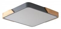 Накладной светильник Zortes Alberro ZRS.01288.60