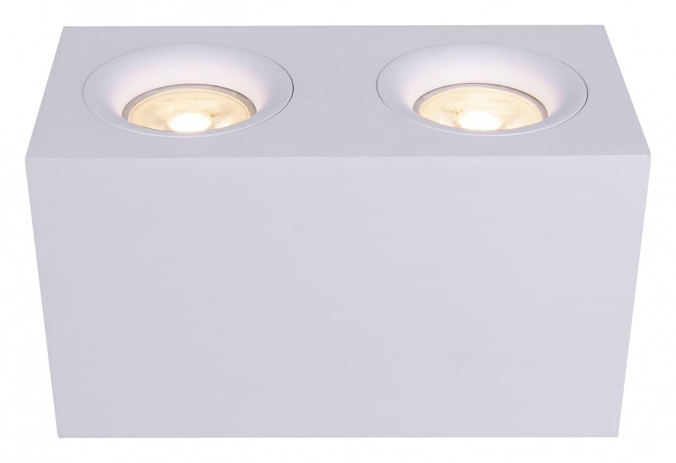 Накладной светильник Maytoni Technical Изящность C013CL-02W