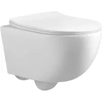 Унитаз подвесной Oliveeka YJ2381 безободковый, с сиденьем микролифт, белый