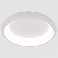 Накладной светильник Arte Lamp None A2694PL-45WH