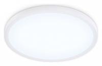 Накладной светильник Ambrella Light FZ FZ1955