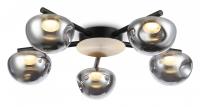 Потолочная люстра Ambrella Light LH LH12009