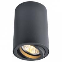 Накладной светильник Arte Lamp Sentry A1560PL-1BK