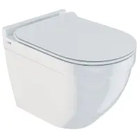 Унитаз подвесной IDDIS Cloud CLORDSEi25 безободковый, с сиденьем микролифт, белый