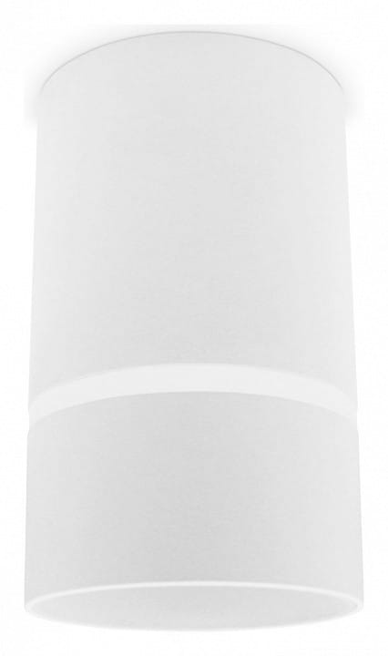 Накладной светильник Ambrella Light TN TN3411