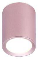 Накладной светильник Ambrella Light TN TN217