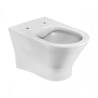 Подвесной унитаз Roca Leon Rimless ZRU9307612