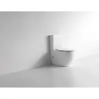 Унитаз-компакт CeramaLux NS-2176 с сиденьем микролифт, белый