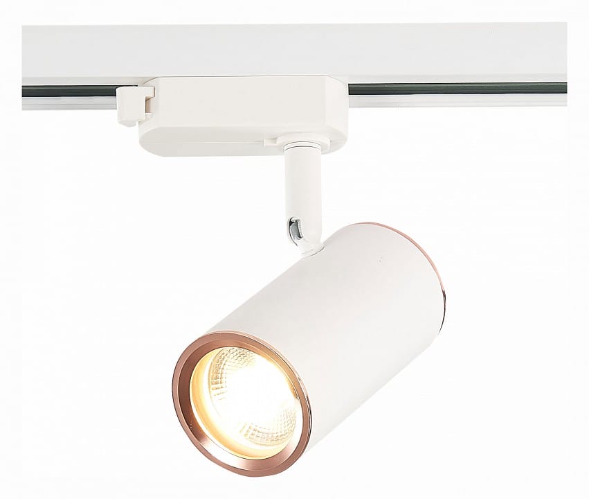 Светильник на штанге ST-Luce Cromi ST301.526.01