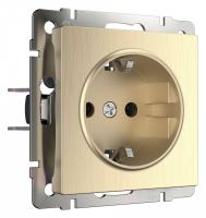 Розетка с заземлением и со шторками без рамки Werkel шампань рифленый W1171110