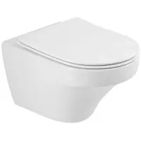 Унитаз подвесной Cezares Duet CZR-2462-TH-TOR безободковый, белый