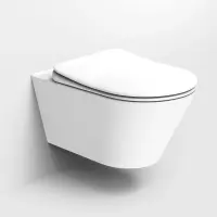 Унитаз подвесной Boheme Avva 972-MW безободковый, белый матовый