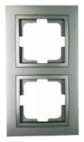 Рамка на 2 поста Mono Electric Despina 102-240000-161
