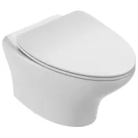 Унитаз подвесной Jacob Delafon Nouvelle Vague EDJ102-00 + E20069-00 безободковый, с сиденьем микролифт, белый