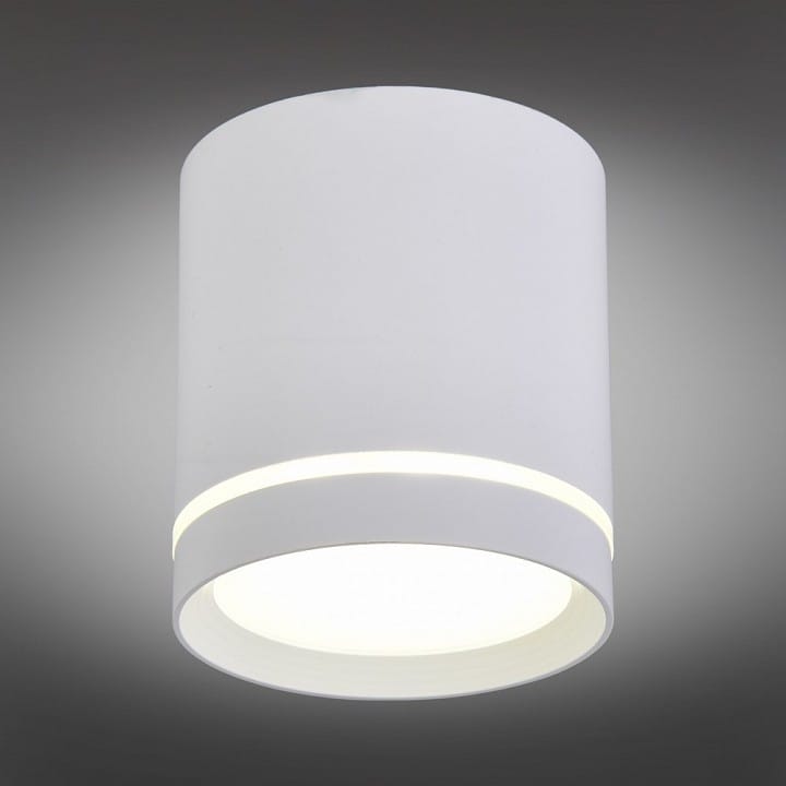 Накладной светильник Omnilux Capurso OML-102409-05