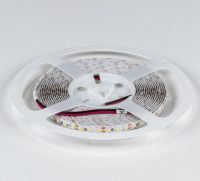 Лента светодиодная DesignLed DSG3120 00-00001132