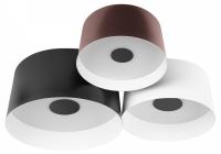 Потолочная люстра Loft it Duo 10360/3