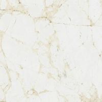 Coliseum Canova Керамогранит White 60x60 натуральный