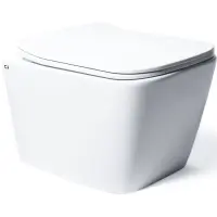 Унитаз подвесной Charus Alva EWC700-114W безободковый, с сиденьем микролифт, белый