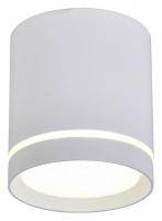 Накладной светильник Omnilux Capurso OML-102409-05