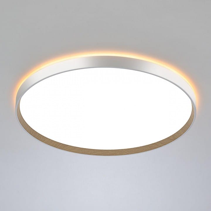 Накладной светильник Citilux ETALON CL750500R