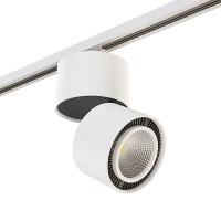 Накладной светильник Lightstar Forte Muro A1T214830