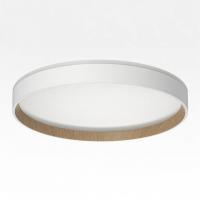 Накладной светильник Citilux ETALON CL750320R