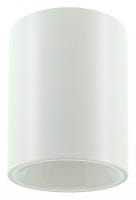 Накладной светильник LIGHTERA Shamrock LE201CL-1WA