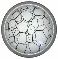 Накладной светильник TopLight Ophelia TL1125-1Y