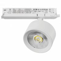 Светильник на штанге Lightstar Alta Pro A5536DALI